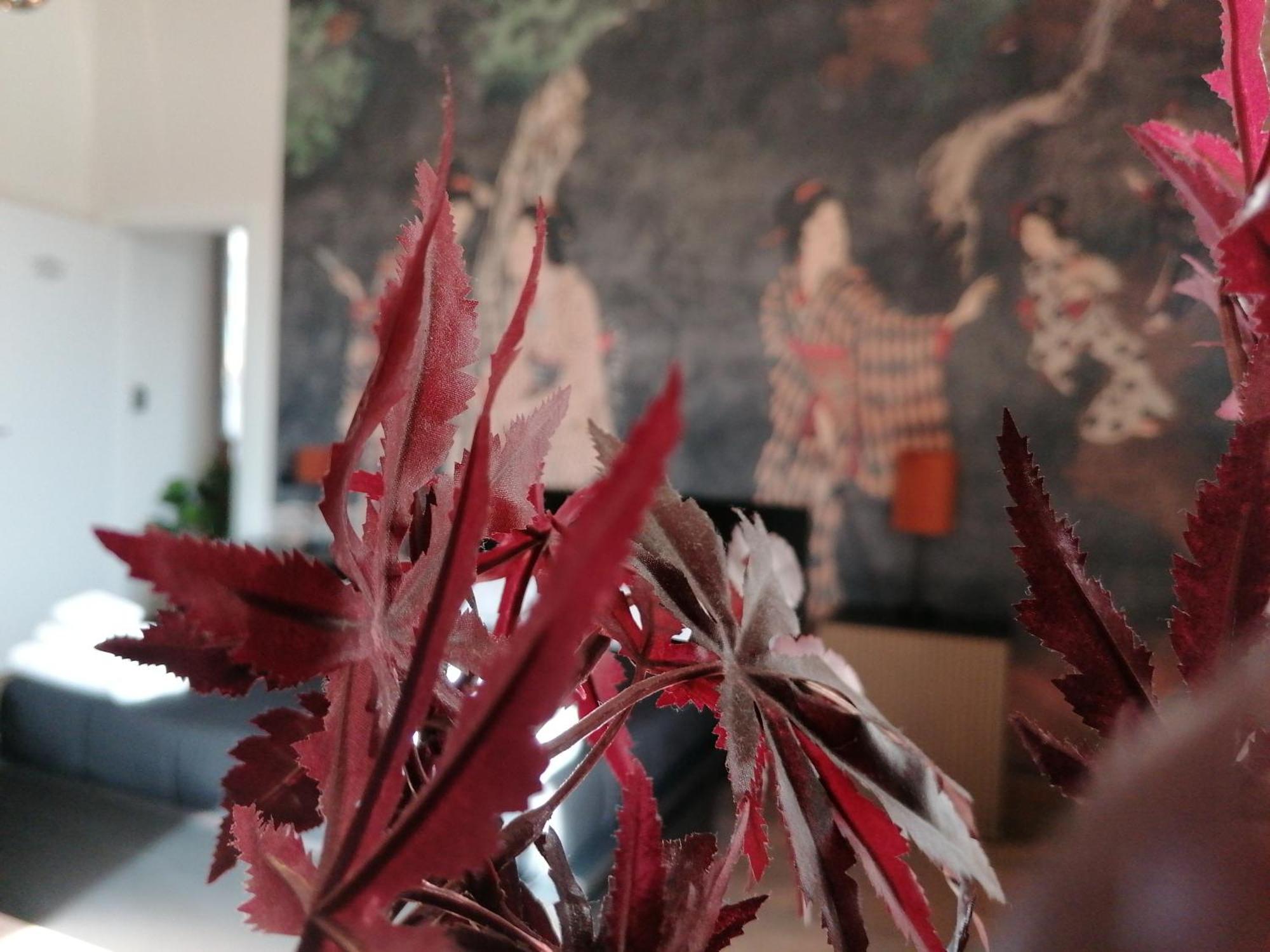 Le Boutique Luxury Rooms Diffused In Historic Center Fiumicino Bagian luar foto